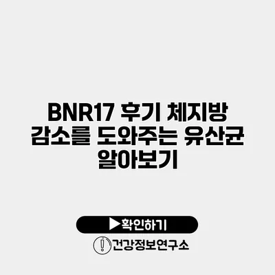 BNR17 후기 체지방 감소를 도와주는 유산균 알아보기