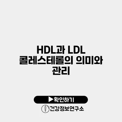 HDL과 LDL 콜레스테롤의 의미와 관리