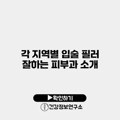 각 지역별 입술 필러 잘하는 피부과 소개