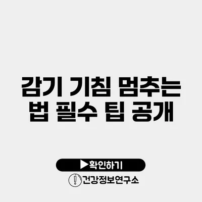 감기 기침 멈추는 법 필수 팁 공개