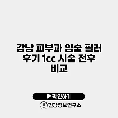 강남 피부과 입술 필러 후기 1cc 시술 전후 비교