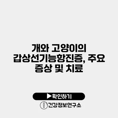 개와 고양이의 갑상선기능항진증, 주요 증상 및 치료