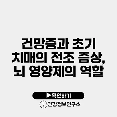 건망증과 초기 치매의 전조 증상, 뇌 영양제의 역할