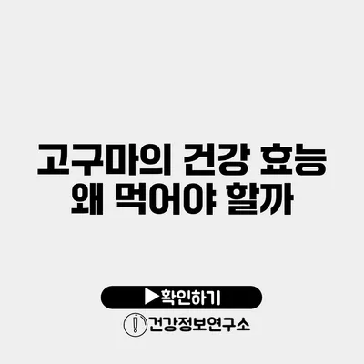 고구마의 건강 효능 왜 먹어야 할까?