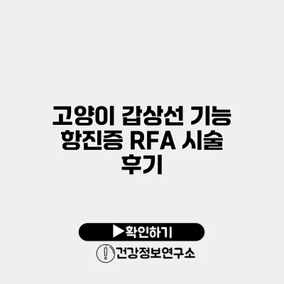 고양이 갑상선 기능 항진증 RFA 시술 후기