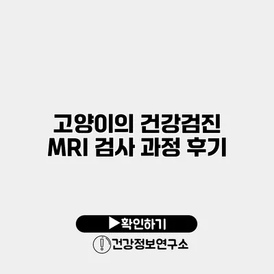 고양이의 건강검진 MRI 검사 과정 후기