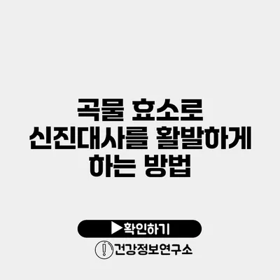 곡물 효소로 신진대사를 활발하게 하는 방법