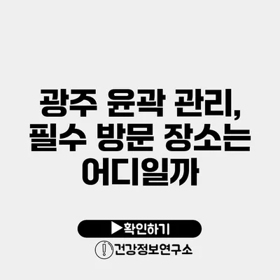 광주 윤곽 관리, 필수 방문 장소는 어디일까?