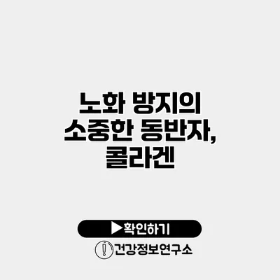 노화 방지의 소중한 동반자, 콜라겐