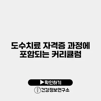 도수치료 자격증 과정에 포함되는 커리큘럼