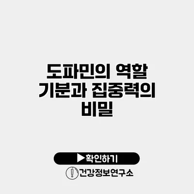 도파민의 역할 기분과 집중력의 비밀