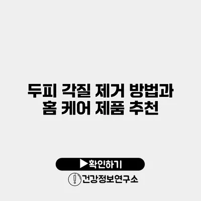 두피 각질 제거 방법과 홈 케어 제품 추천
