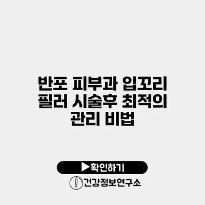 반포 피부과 입꼬리 필러 시술후 최적의 관리 비법