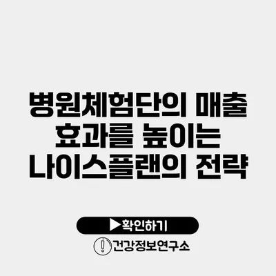 병원체험단의 매출 효과를 높이는 나이스플랜의 전략