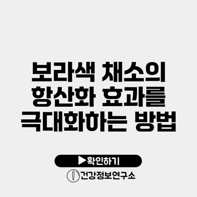 보라색 채소의 항산화 효과를 극대화하는 방법