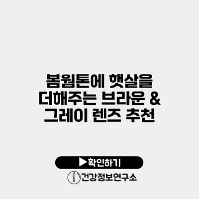 봄웜톤에 햇살을 더해주는 브라운 & 그레이 렌즈 추천