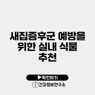 새집증후군 예방을 위한 실내 식물 추천