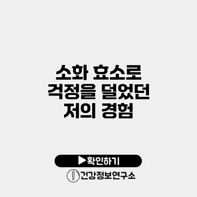 소화 효소로 걱정을 덜었던 저의 경험