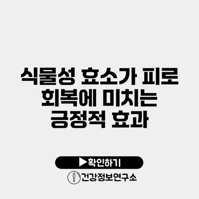 식물성 효소가 피로 회복에 미치는 긍정적 효과