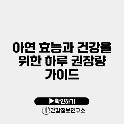 아연 효능과 건강을 위한 하루 권장량 가이드