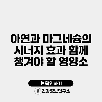 아연과 마그네슘의 시너지 효과 함께 챙겨야 할 영양소