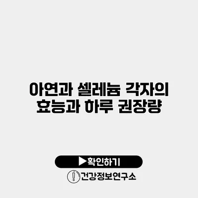 아연과 셀레늄 각자의 효능과 하루 권장량