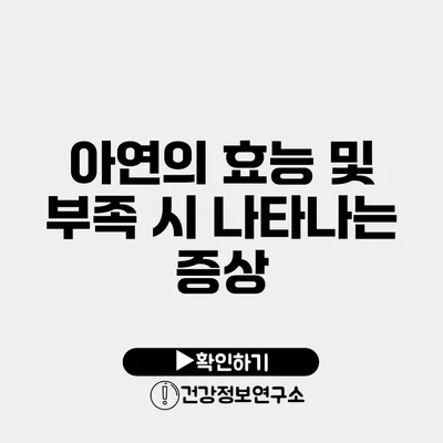 아연의 효능 및 부족 시 나타나는 증상