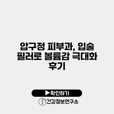 압구정 피부과, 입술 필러로 볼륨감 극대화 후기