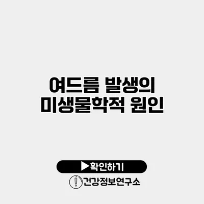 여드름 발생의 미생물학적 원인