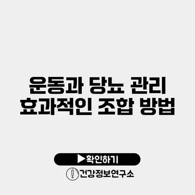 운동과 당뇨 관리 효과적인 조합 방법