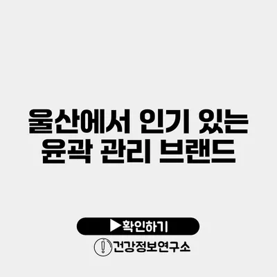 울산에서 인기 있는 윤곽 관리 브랜드