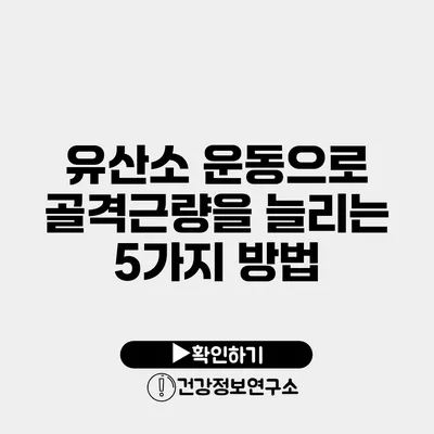 유산소 운동으로 골격근량을 늘리는 5가지 방법