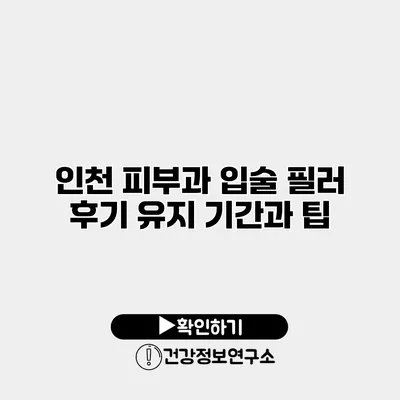 인천 피부과 입술 필러 후기 유지 기간과 팁