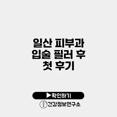 일산 피부과 입술 필러 후 첫 후기