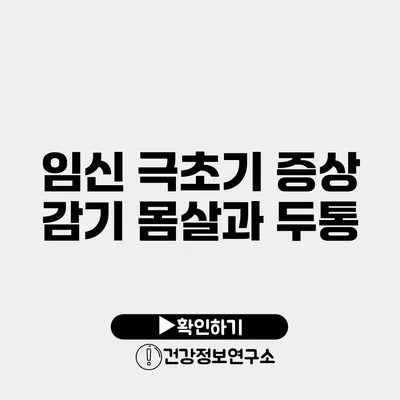 임신 극초기 증상 감기 몸살과 두통