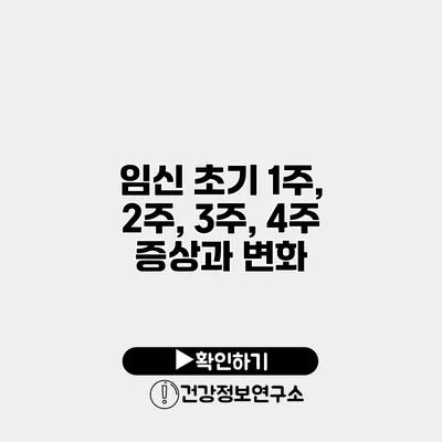 임신 초기 1주, 2주, 3주, 4주 증상과 변화