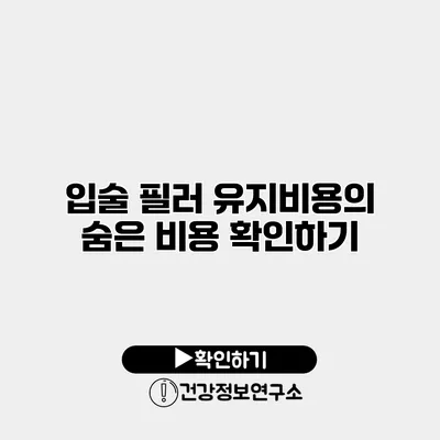 입술 필러 유지비용의 숨은 비용 확인하기