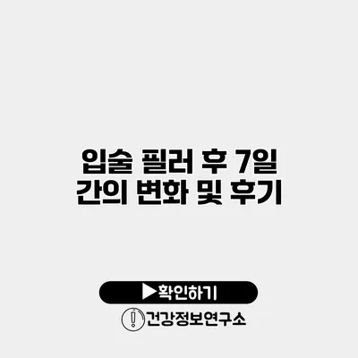 입술 필러 후 7일 간의 변화 및 후기
