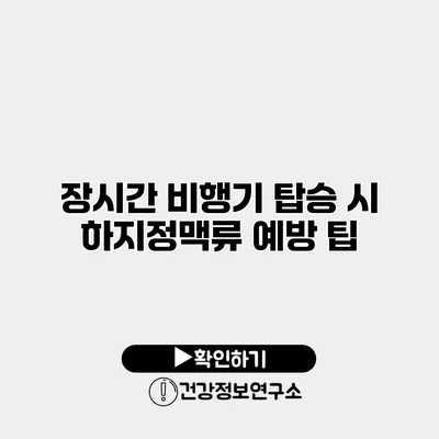 장시간 비행기 탑승 시 하지정맥류 예방 팁