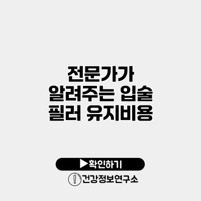 전문가가 알려주는 입술 필러 유지비용