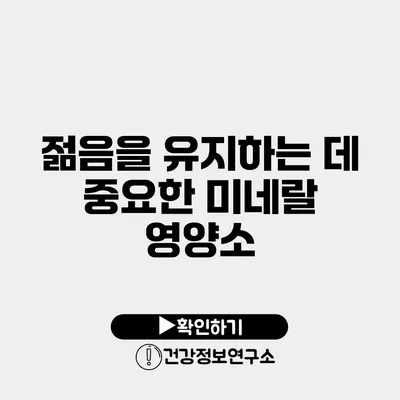 젊음을 유지하는 데 중요한 미네랄 영양소