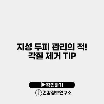 지성 두피 관리의 적! 각질 제거 TIP