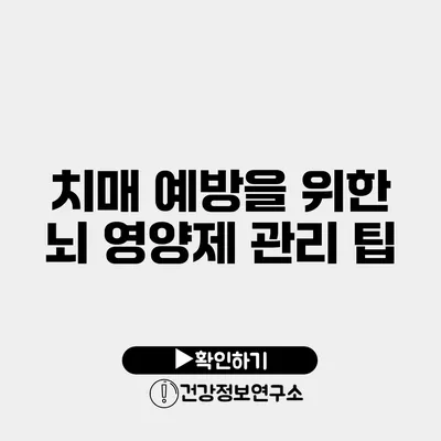 치매 예방을 위한 뇌 영양제 관리 팁