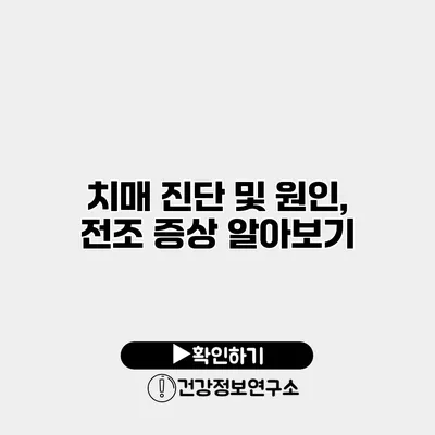 치매 진단 및 원인, 전조 증상 알아보기