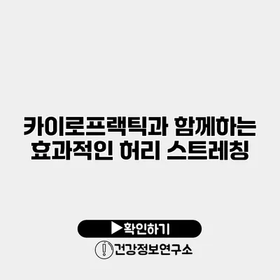 카이로프랙틱과 함께하는 효과적인 허리 스트레칭