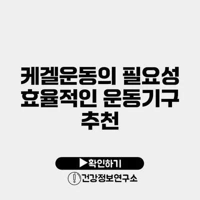 케겔운동의 필요성 효율적인 운동기구 추천