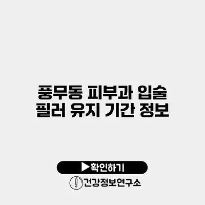 풍무동 피부과 입술 필러 유지 기간 정보