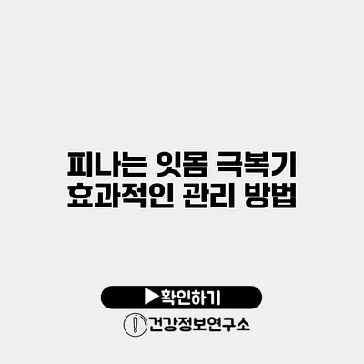 피나는 잇몸 극복기 효과적인 관리 방법