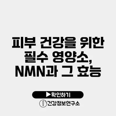 피부 건강을 위한 필수 영양소, NMN과 그 효능