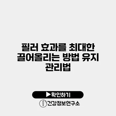 필러 효과를 최대한 끌어올리는 방법 유지 관리법